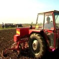 Јесења сетва у шабачком крају