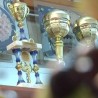 Најбољи у категорији школа