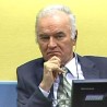 Рекнер: ВРС таоце користила као "живи штит"