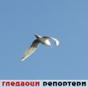 Гледаоци репортери (30. октобар 2013)