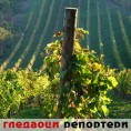 Гледаоци репортери (31. октобар 2013)