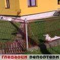 Гледаоци репортери (2. новембар 2013)