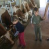Живе од пољопривредне производње