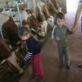 Живе од пољопривредне производње
