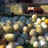 Дулек "на парче"