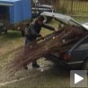 Нова шанса за развој Трговишта