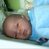Време је за бебе