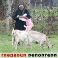 Гледаоци репортери (14. новембар 2013)