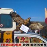Гледаоци репортери (15. новембар 2013)