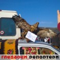 Гледаоци репортери (15. новембар 2013)