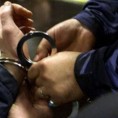 Акција "Армагедон", хапшење због педофилије