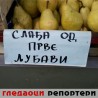 Гледаоци репортери (20. новембар 2013)