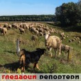 Гледаоци репортери (21. новембар 2013)