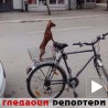 Гледаоци репортери (22. новембар 2013)