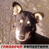 Гледаоци репортери (1. децембар 2013)