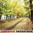 Гледаоци репортери (2. децембар 2013)