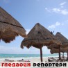 Гледаоци репортери (8. децембар 2013)