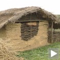 Прокупачко праисторијско село ускоро „уживо“