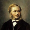 Висине