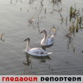 Гледаоци репортери (16. децембар 2013)