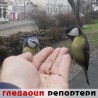 Гледаоци репортери (20. децембар 2013)