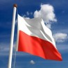 Локални DTT MUX