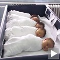 Чекајући да нам се врате роде