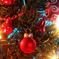 Божићне честитке из Војводине