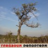 Гледаоци репортери (7. јануар 2014)