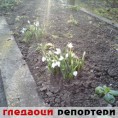 Гледаоци репортери (9. јануар 2014)