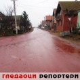 Гледаоци репортери (14. јануар 2014)