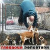 Гледаоци репортери (15. јануар 2014)