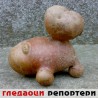 Гледаоци репортери (17. јануар 2014)