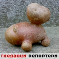 Гледаоци репортери (17. јануар 2014)