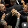 Туча у украјинском парламенту
