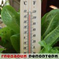 Гледаоци репортери (20. јануар 2014)