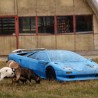 Каква штета!