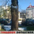 Гледаоци репортери (6. фебруар 2014)