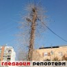 Гледаоци репортери (7. фебруар 2014)