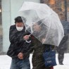 Снежна олуја у Токију, троје мртвих