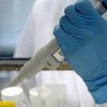 Само појединачни случајеви шуге у Поморављу
