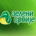 Зелени са Тадићем на изборе