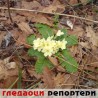 Гледаоци репортери (14. фебруар 2014)