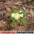 Гледаоци репортери (14. фебруар 2014)