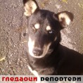 Гледаоци репортери (16. фебруар 2014)