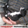 Гледаоци репортери (18. фебруар 2014)