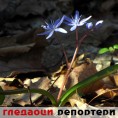 Гледаоци репортери (19. фебруар 2014)