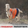 Гледаоци репортери (20. фебруар 2014)