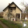 Пси растргли свог власника?