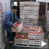 Српски воћари освајају нова тржишта
